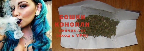 мдпв Володарск