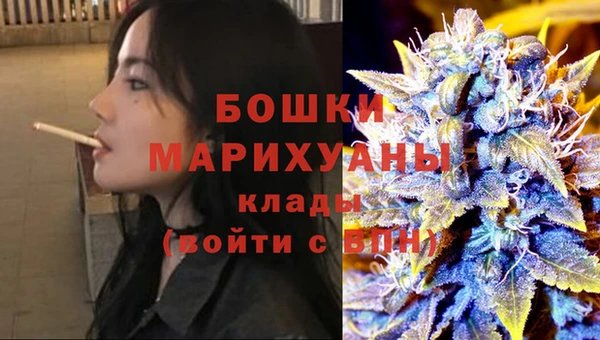 мдпв Володарск